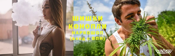 шишки Семилуки