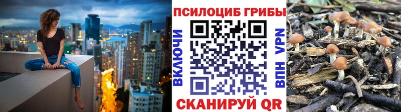 где купить наркотик Мамадыш Галлюциногенные грибы прущие грибы